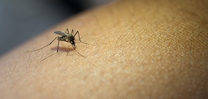 Valinhos intensifica controle do vetor da Dengue com serviço de busca ativa