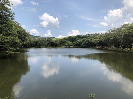 Parque dos Lagos reabrirá ao público a partir desta quarta-feira (4)