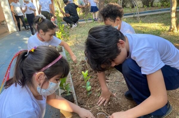 ALUNOS REALIZAM MUDANÇAS NO JARDIM DA ESCOLA, EM VALINHOS