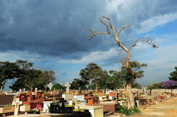 “O QUE TE ASSOMBRA” REALIZA PASSEIOS NOTURNOS NO CEMITÉRIO DA SAUDADE NESTE FIM DE SEMANA EM CAMPINAS