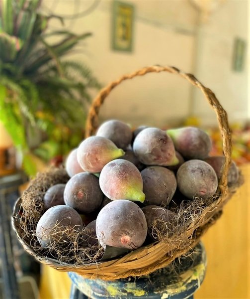 Frutas em cerâmica de Aldemir Cândido serão uma das atrações da 72ª Festa do Figo e 27ª Expogoiaba