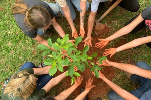 Empresas e ONGs: juntas pelo meio ambiente