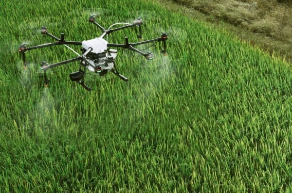 Uso de drones ganha espaço no agronegócio no Brasil