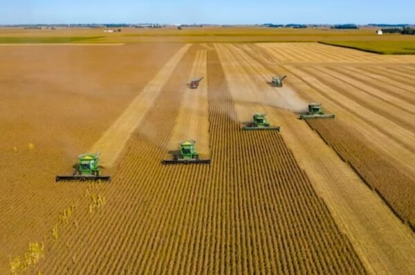 Economia verde impulsiona inovação no agronegócio brasileiro