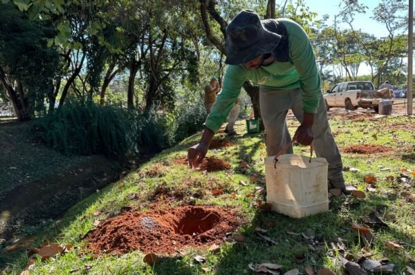 Valinhos começa reflorestamento no Parque do CLT