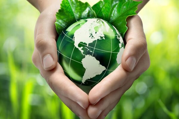 Dia Mundial do Meio ambiente é comemorado em 5 de junho