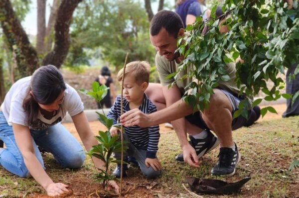 Famílias recebem placas simbólicas em projeto de arborização do CLT