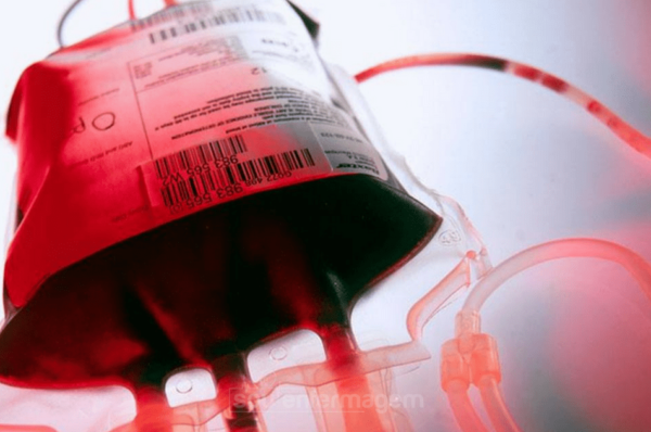 Campanha de doação de sangue acontecerá na próxima terça-feira, dia 20