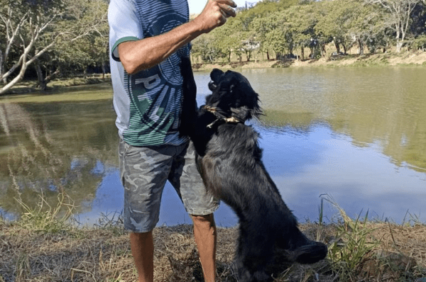 Aika entrou para completar a casa e o coração da família de Guina