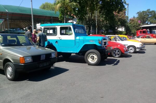 Encontro reunirá 60 carros antigos no Parque Municipal neste domingo, dia 17, em Valinhos