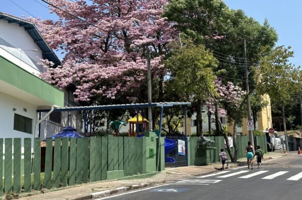 Demanda por vagas na Educação Básica e no EJA está totalmente suprida em Valinhos