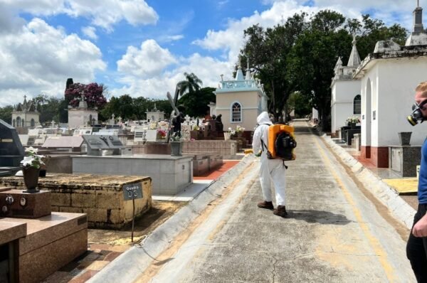 Cemitério Municipal de Valinhos fecha temporariamente para dedetização, priorizando a segurança e o bem-estar da comunidade local