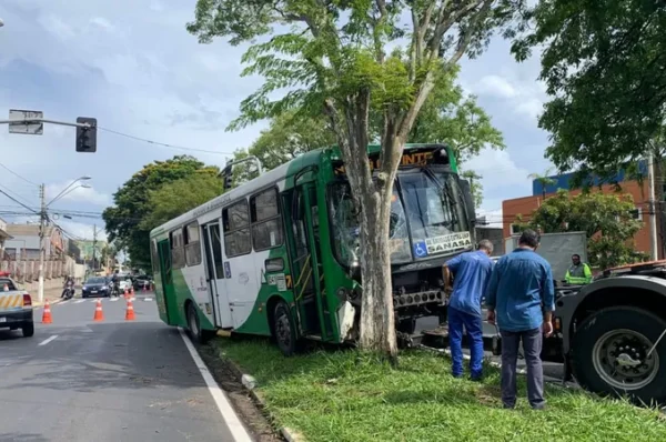 Em surto, homem rouba ônibus em Campinas, ameaça motorista, dirige por 2 km e colide em árvore