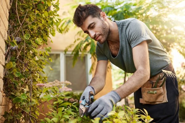 351 oportunidades de emprego no PAT Valinhos hoje