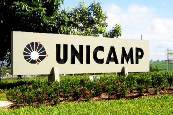Unicamp oferece 16 opções de cursos gratuitos online; confira quais são