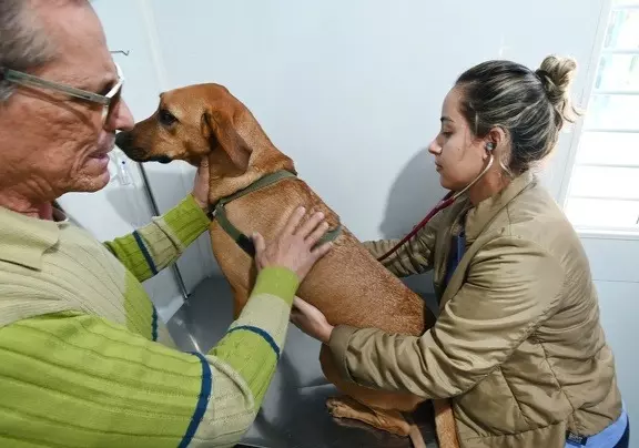 Consultório veterinário gratuito estreia em novo bairro