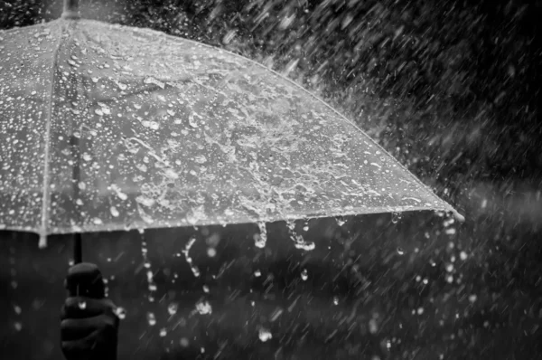 Valinhos registra aumento no volume de chuvas em março de 2024