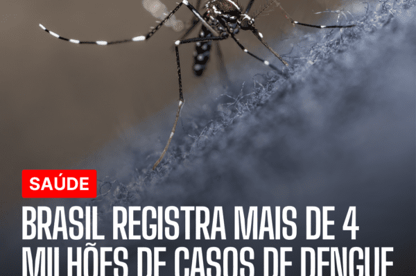 Brasil registra mais de 4 milhões de casos de dengue e quase 2 mil mortes