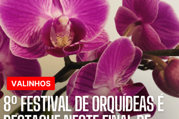 8º Festival de Orquídeas é destaque neste final de semana
