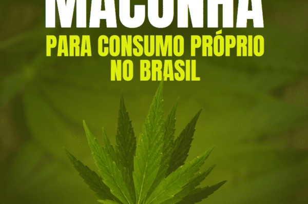 STF descriminaliza o porte de maconha para consumo próprio no Brasil