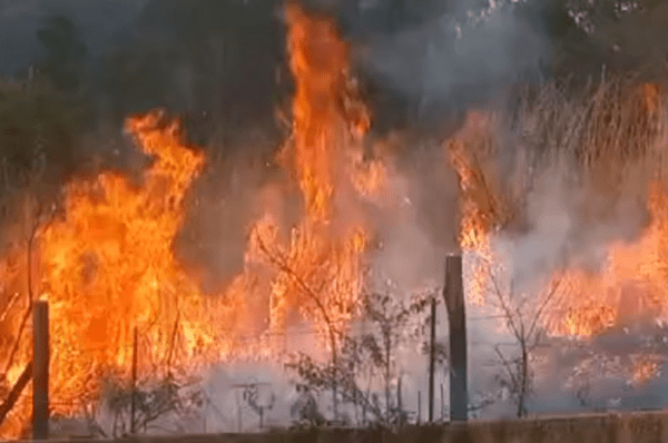 Área queimada da Serra dos Cocais é o equivalente a aproximadamente 420 campos de futebol