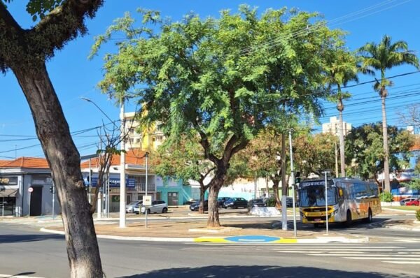 Sexta-feira promete chegar aos 36°C em Valinhos