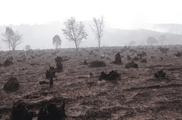 Mais de 3 milhões de m² já foram consumidos pelo fogo na Serra dos Cocais em Valinhos