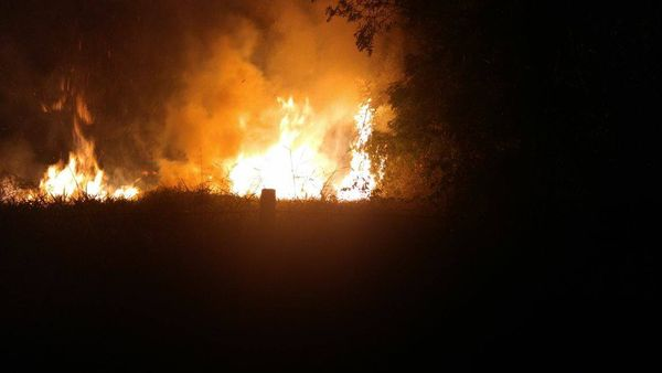 Incêndio se alastra e destrói horta de moradores, um homem de 51 anos é investigado