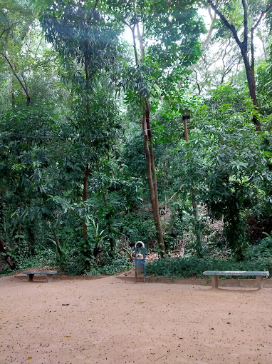 Família fica presa por 1h30 em bosque e é resgatada pela GCM