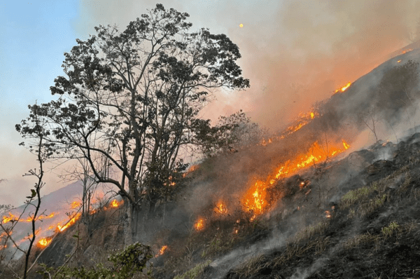 RMC tem alerta máximo de risco de incêndio nesta semana