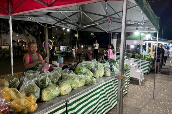 Feira do Jardim do Lago celebra Dia das Crianças com edição especial nesta terça-feira (15)