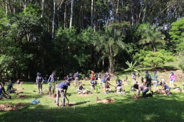 Projeto Santa Rita promove atividade aberta ao público com plantio de árvores nativas em Valinhos