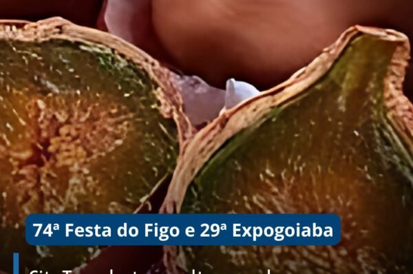 City Tour destaca cultura e sabores locais durante a 74ª Festa do Figo e 24ª Expogoiaba