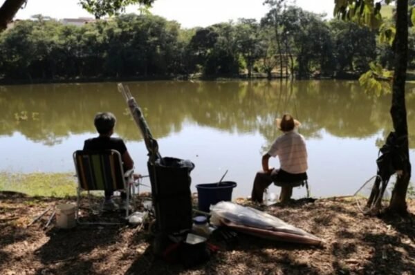 Revitalização do Projeto Peixe & Cia do Centro do Idoso em Valinhos