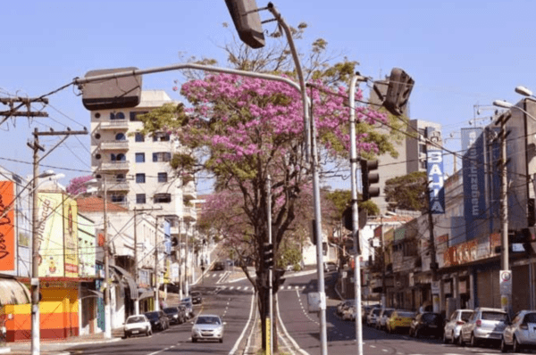 Chegada do outono e cores naturais