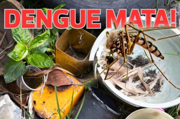 Valinhos soma 731 casos positivos de Dengue no ano, registrando aumento mensal de 178,86%