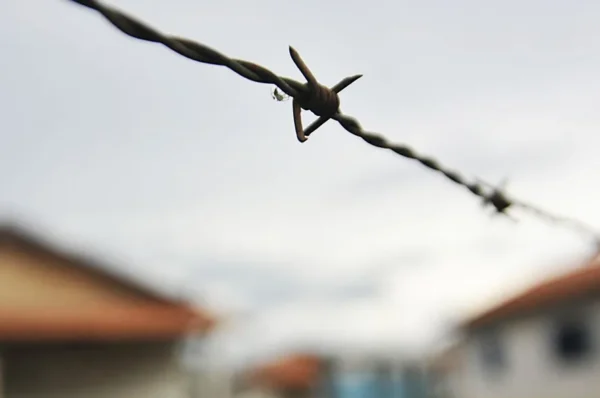 Conflitos no Campo no Brasil em 2024: Violência, desmatamento e trabalho escravo em alta