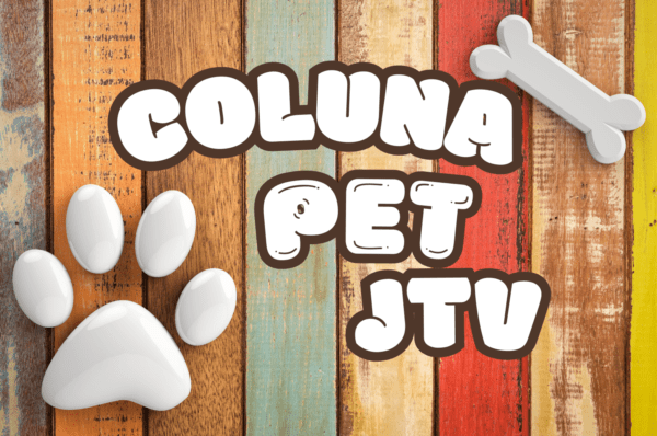 ✨🐾 PETS PARA ADOÇÃO ESSA SEMANA! 🐾✨